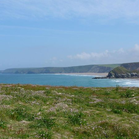 The Whipsiderry Hotel New Quay Extérieur photo