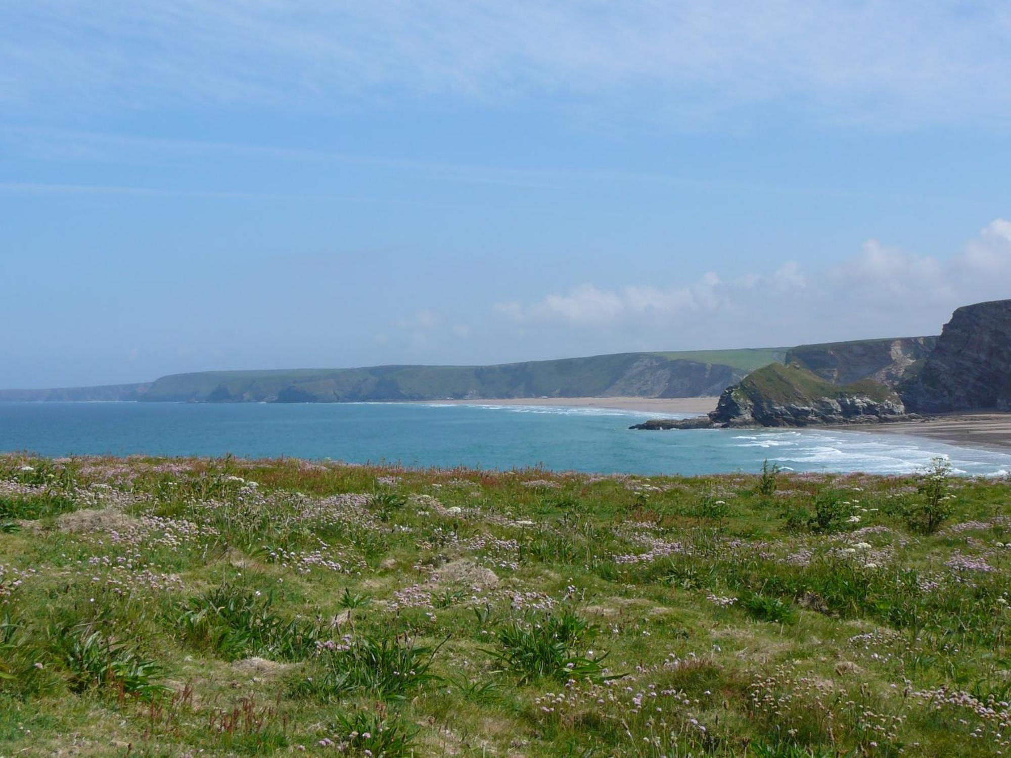 The Whipsiderry Hotel New Quay Extérieur photo