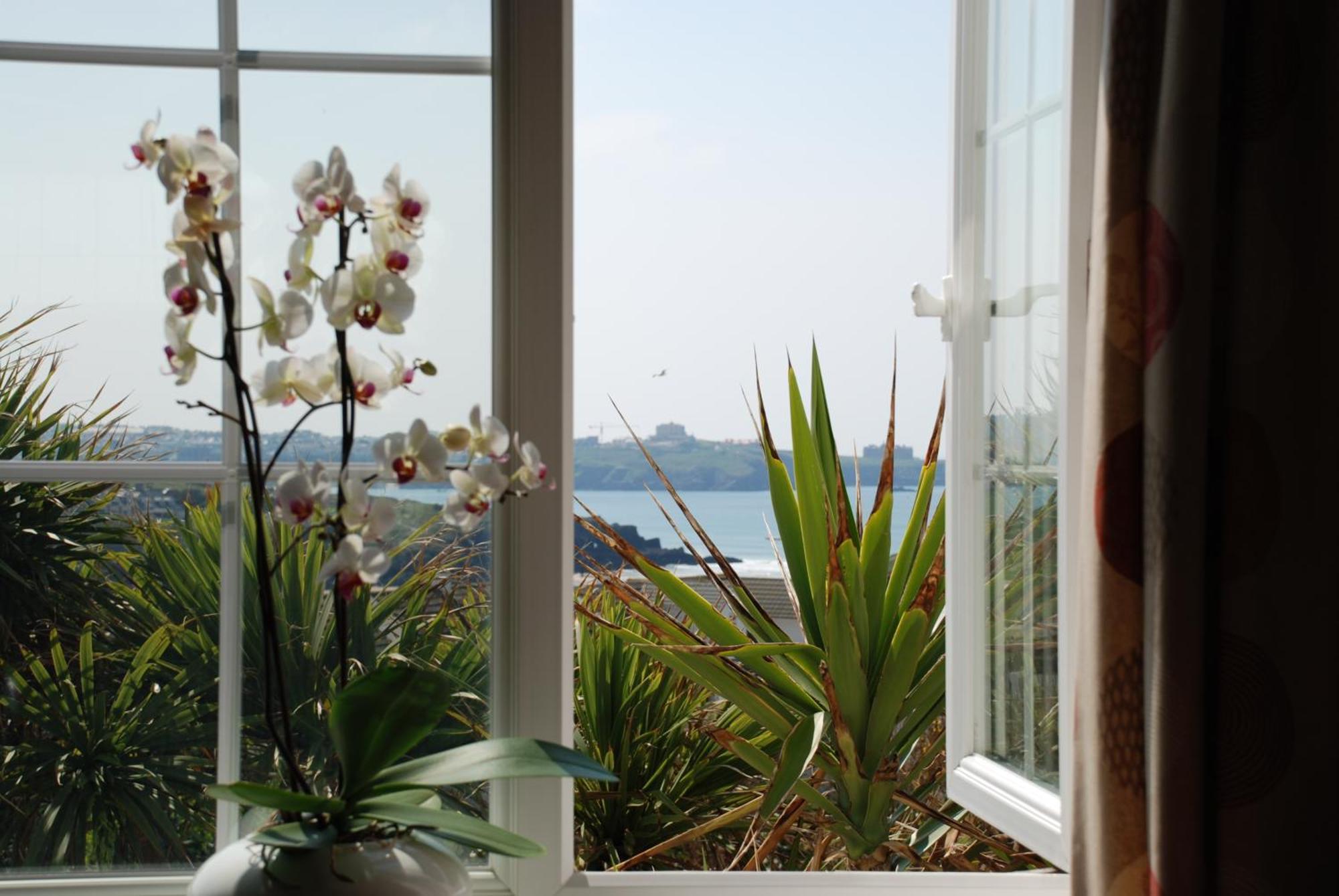The Whipsiderry Hotel New Quay Extérieur photo